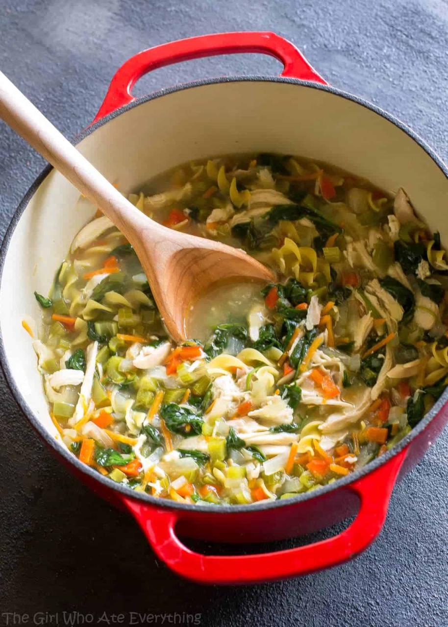 Healthy Vegetable Chicken Soup (+VIDEO) - The Girl Who Ate Everything